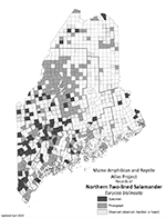 Northern Two-lined Salamander distribution map (PDF)